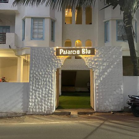 Pajaros Blu Hotel Calangute Bagian luar foto